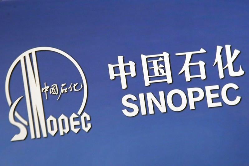 Chinas Sinopec suspends top officials at trading arm