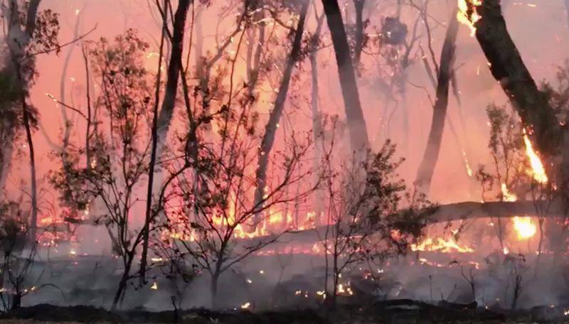 Australian firefighters burn grasslands to minimise looming bushfire risk