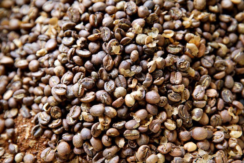 Kenyas coffee crop nosedives due to high temperatures low prices