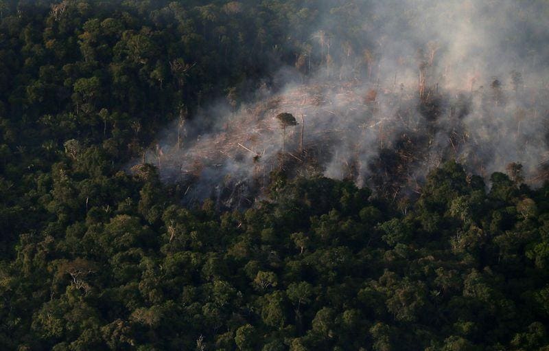 Brazil Amazon deforestation climbs more than 100 in November over same month last year  government agency
