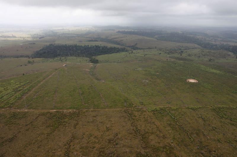 Deforestation on Brazilian tribal lands highest in 11 years