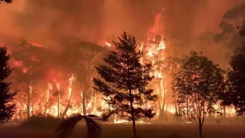 Australias NSW declares state of emergency for bushfires