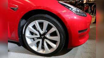 Court again stops Tesla felling trees for German plant